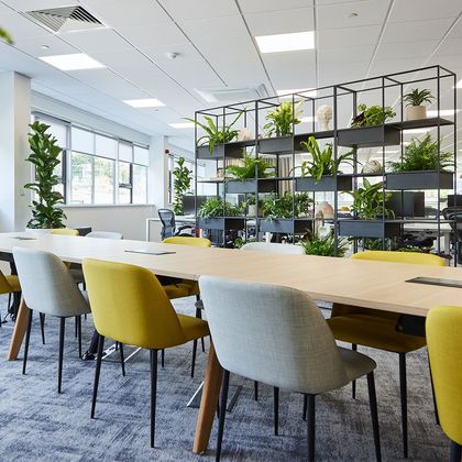 Office with long table, colorful chairs, and a metal shelving unit with potted plants.