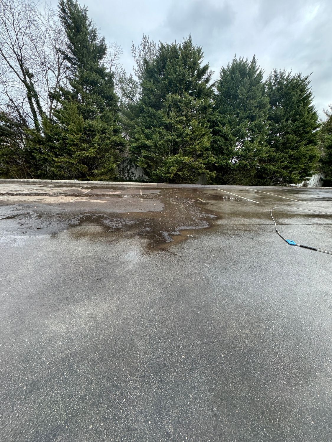 A hose is sitting in front of a building in a parking lot.