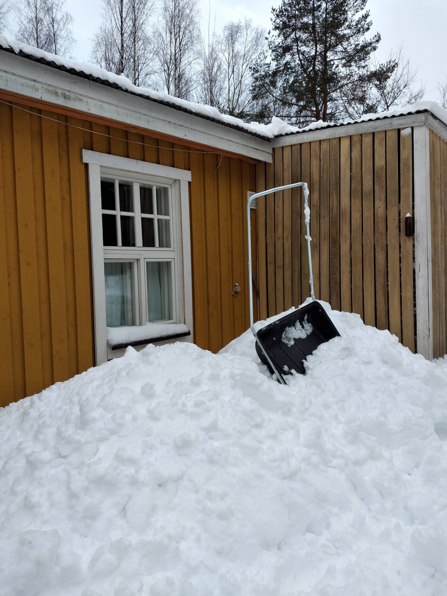Kola pystyssä katolta pudotetun lumikasan päällä talon seinustan vieressä.