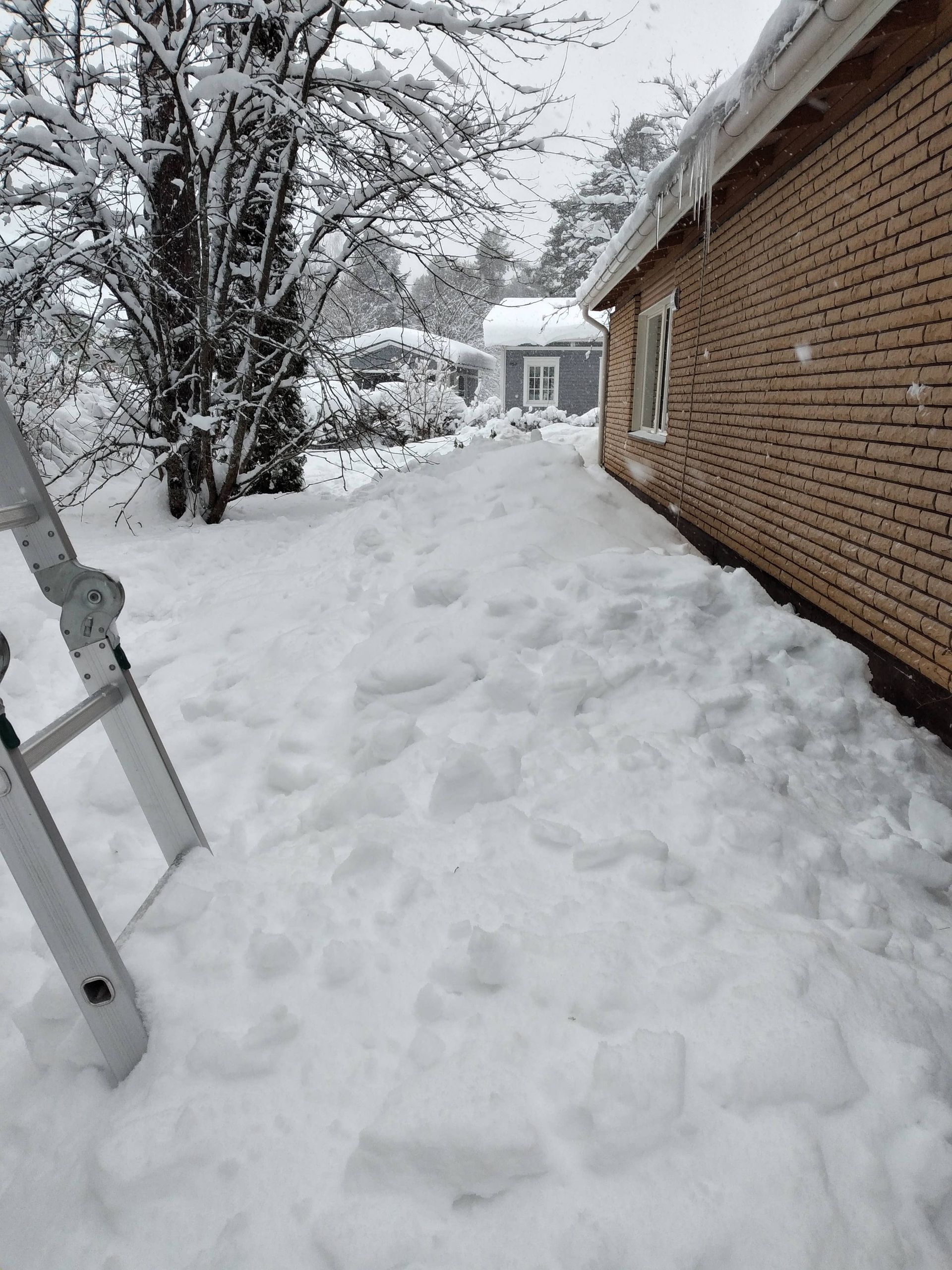 Katolta pudotettua lunta ja tikapuut joensuussa.