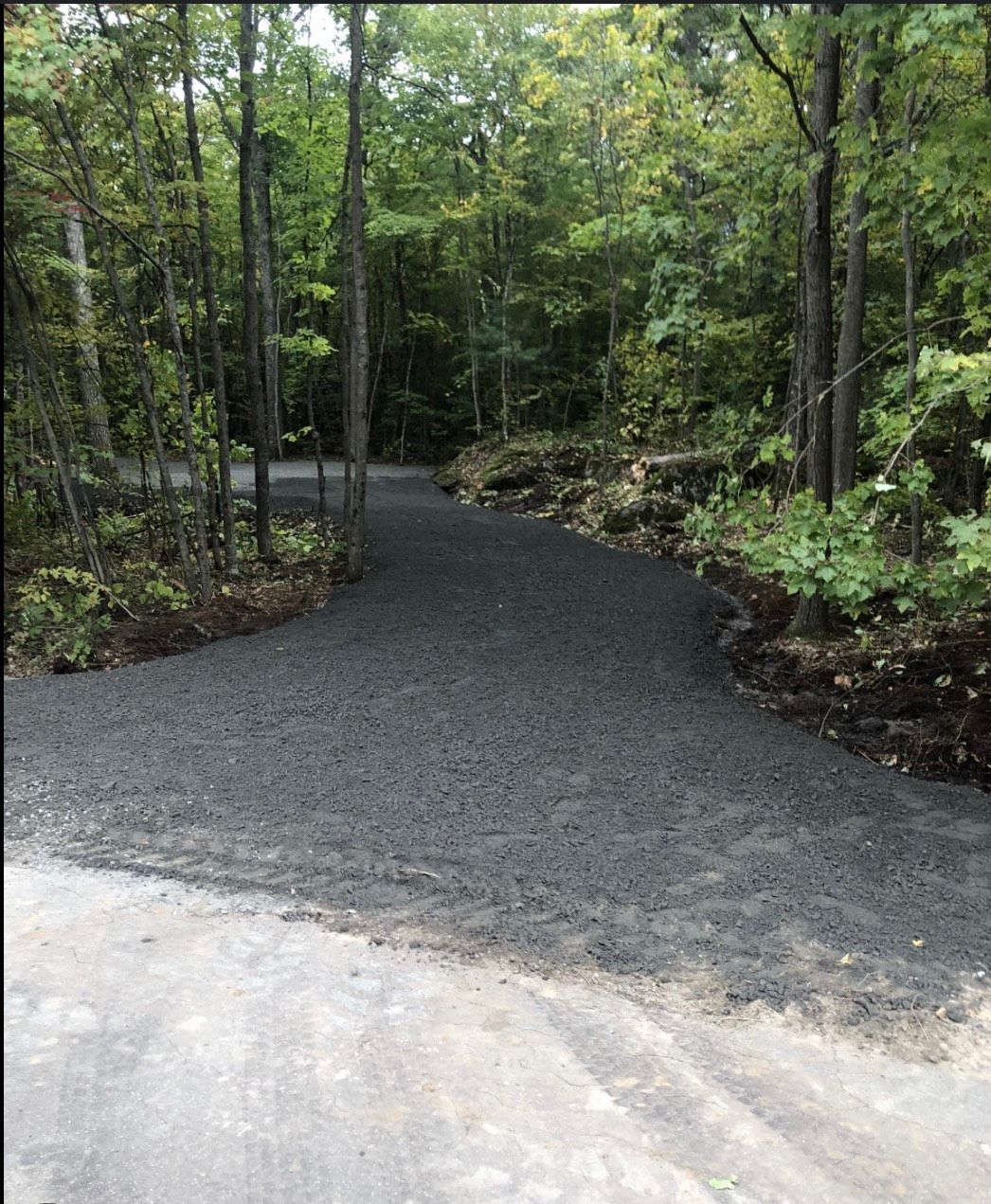 A gravel road in the middle of a forest