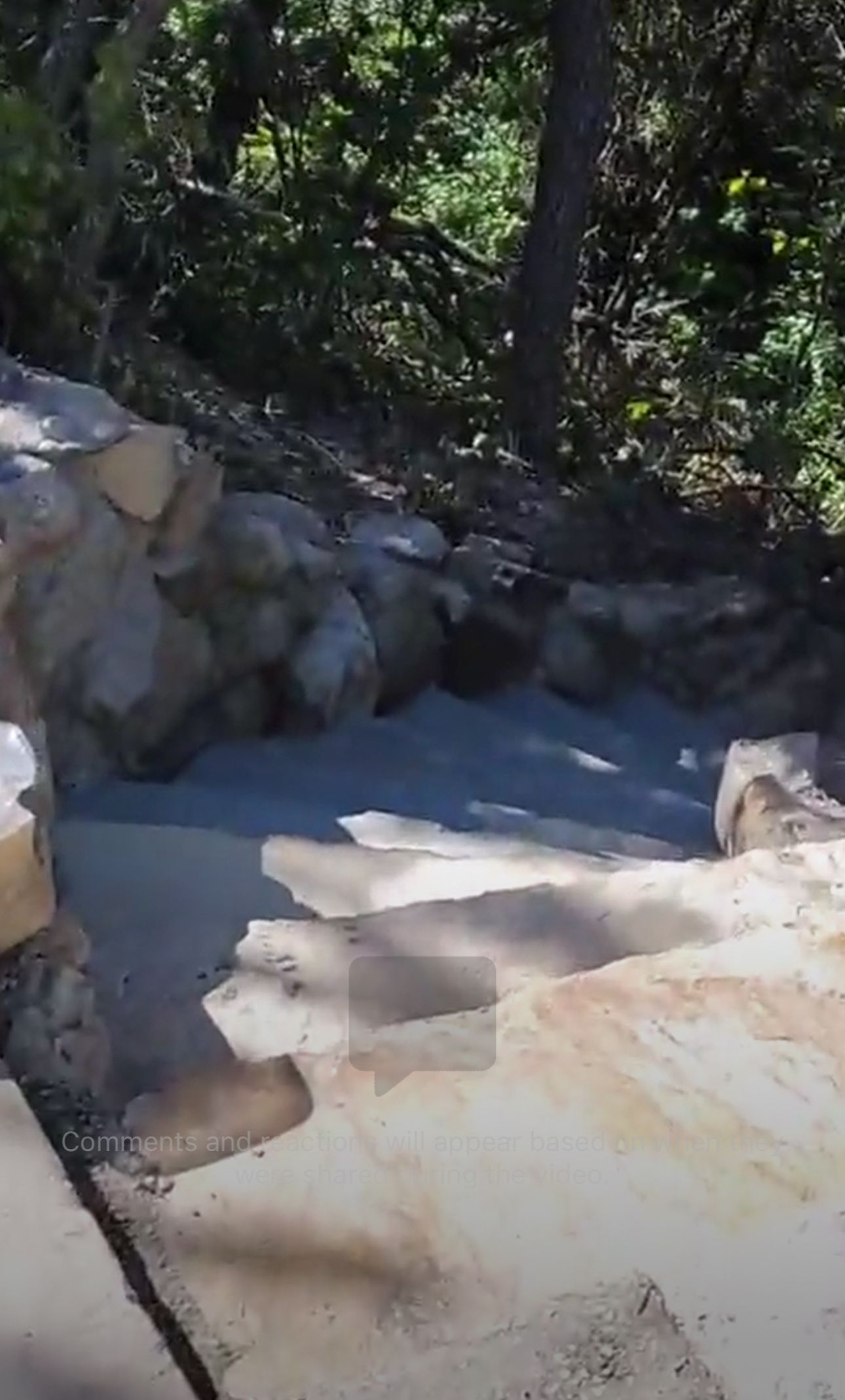 A person is walking down a set of stairs in the woods.