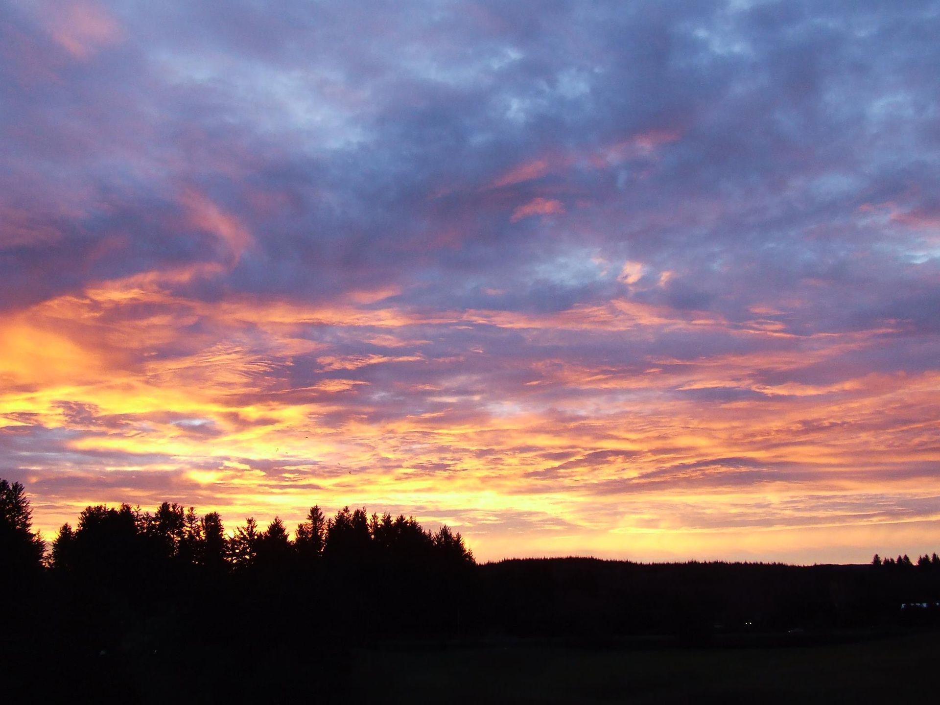 Oceanside Beach Rentals