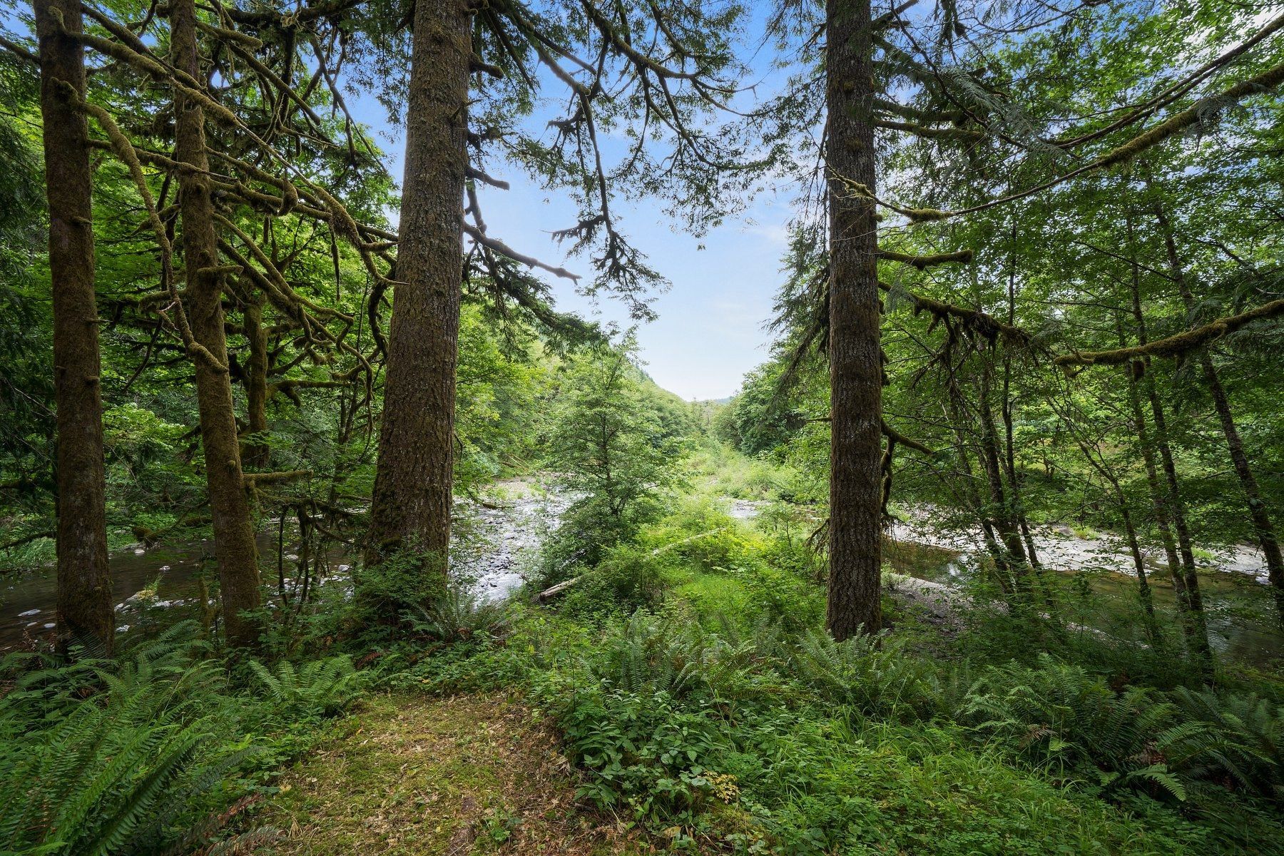 Oceanside Beach Rentals