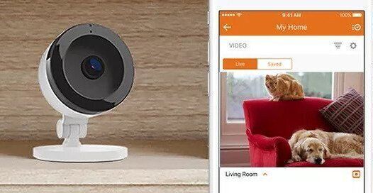 Residential HD Security Camera Monitoring Pets