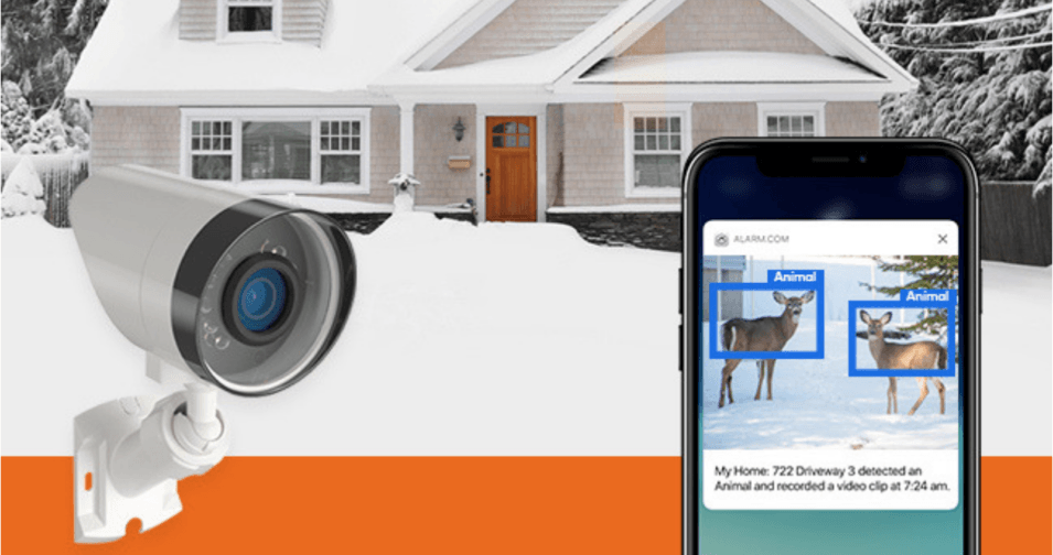 Home Security Camera Deer Surveillance