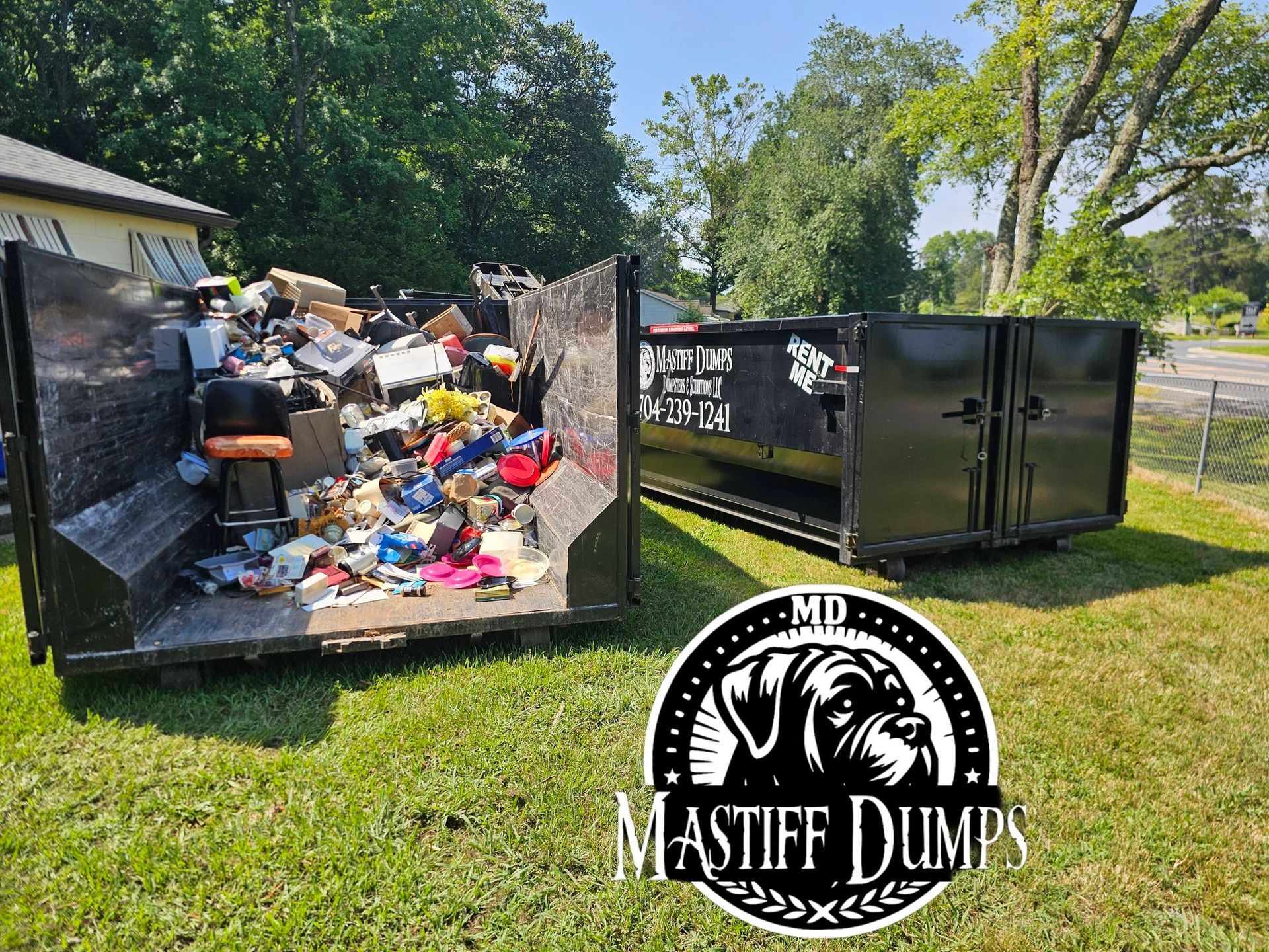 A dog is standing in front of a dumpster.