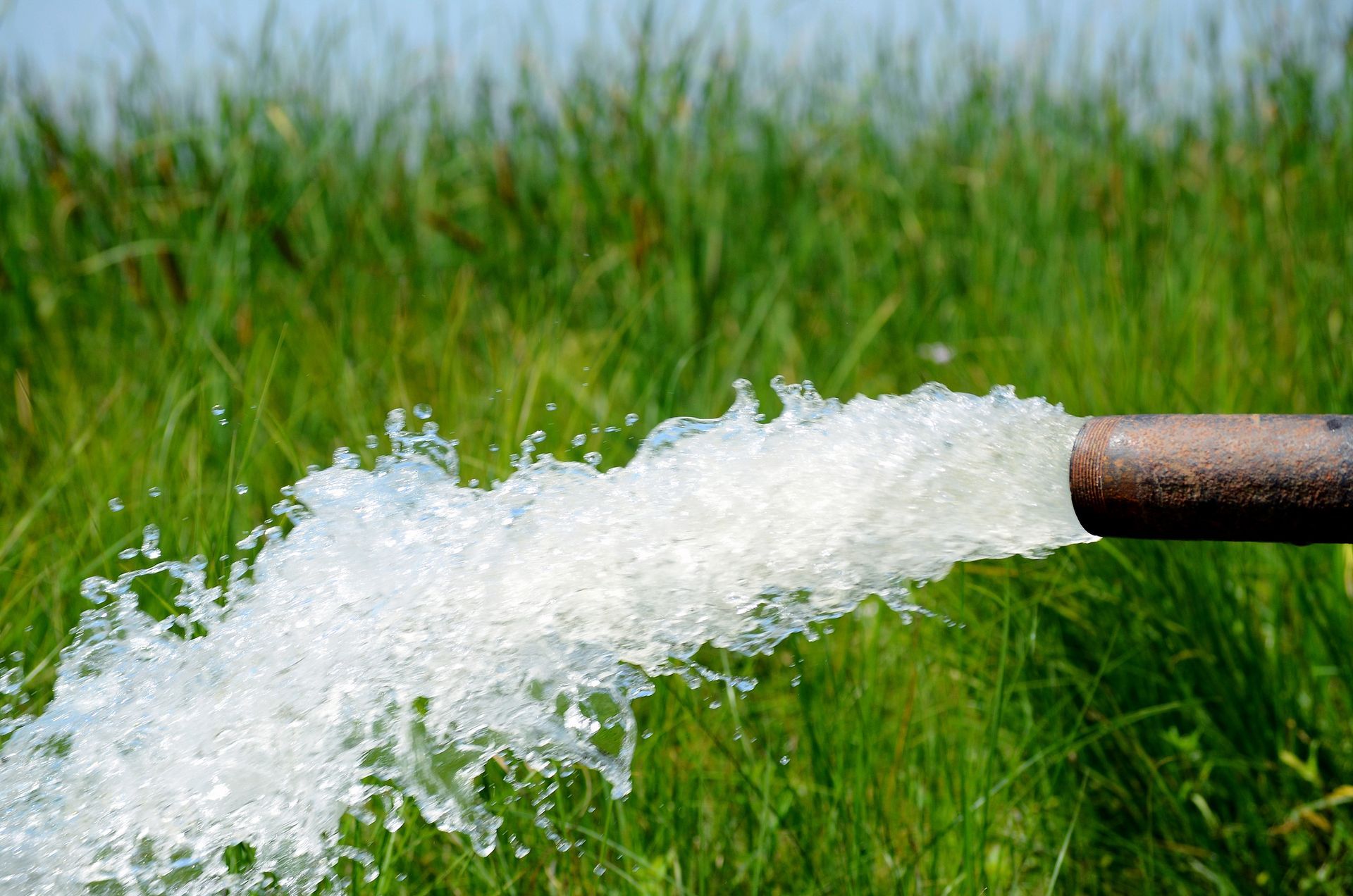 Water is coming out of a pipe in a field.