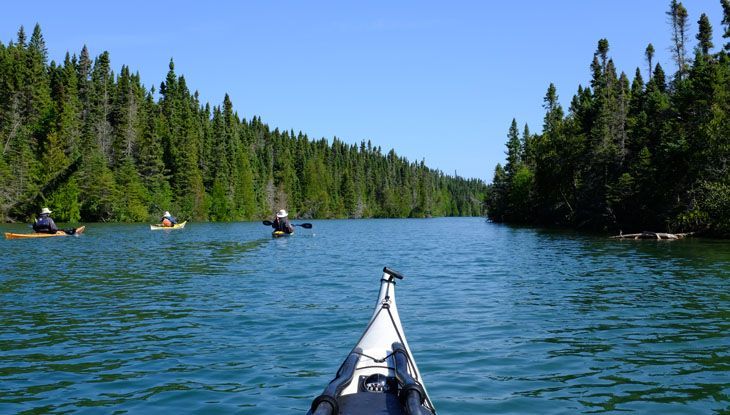 Kayak view of a blue river with paddlers, surrounded by dense evergreen forest under a clear sky