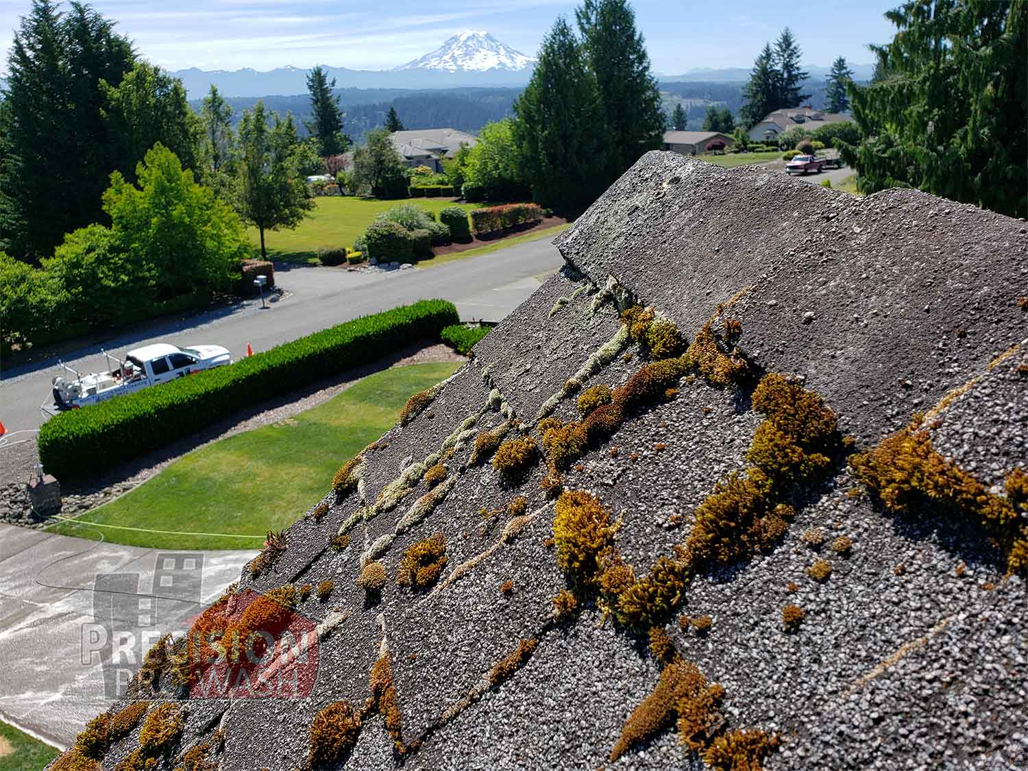 Roof with Moss — Tacoma, WA — Precision Pro Wash Tacoma