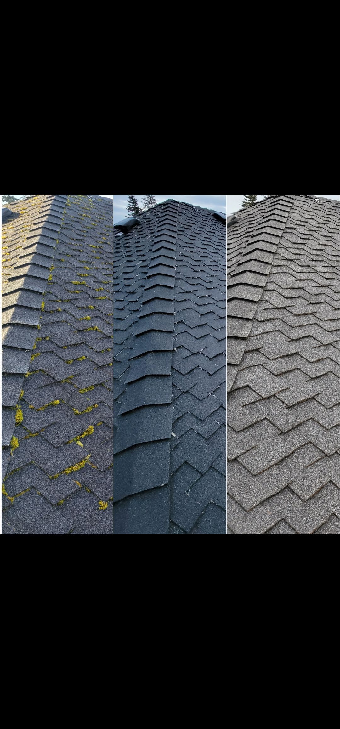 Top choice for roof cleaning northeast tacoma