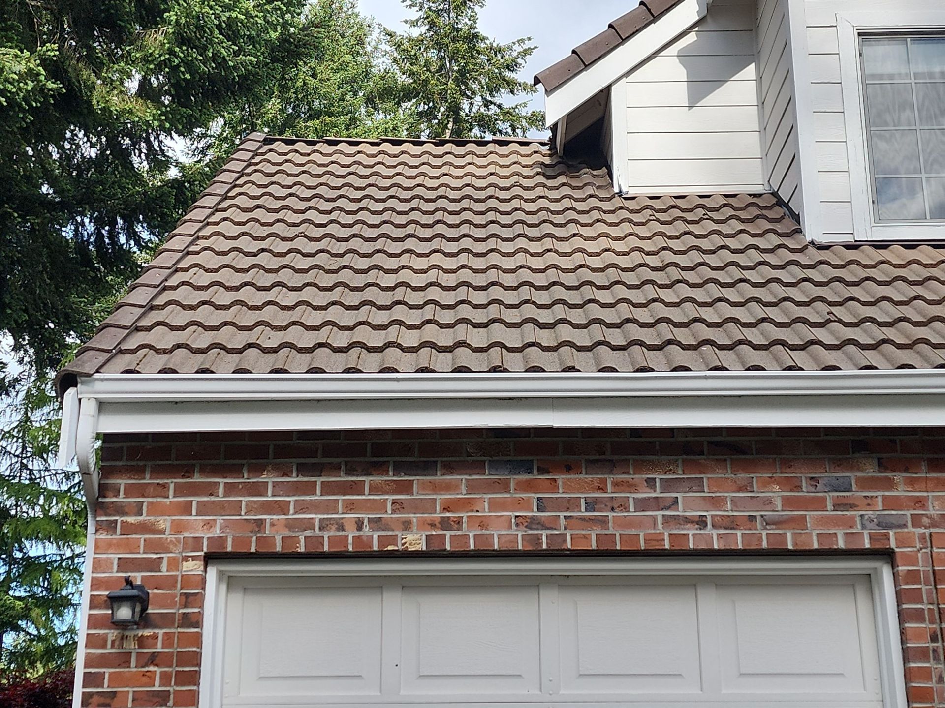 after tile roof cleaning and moss treatment