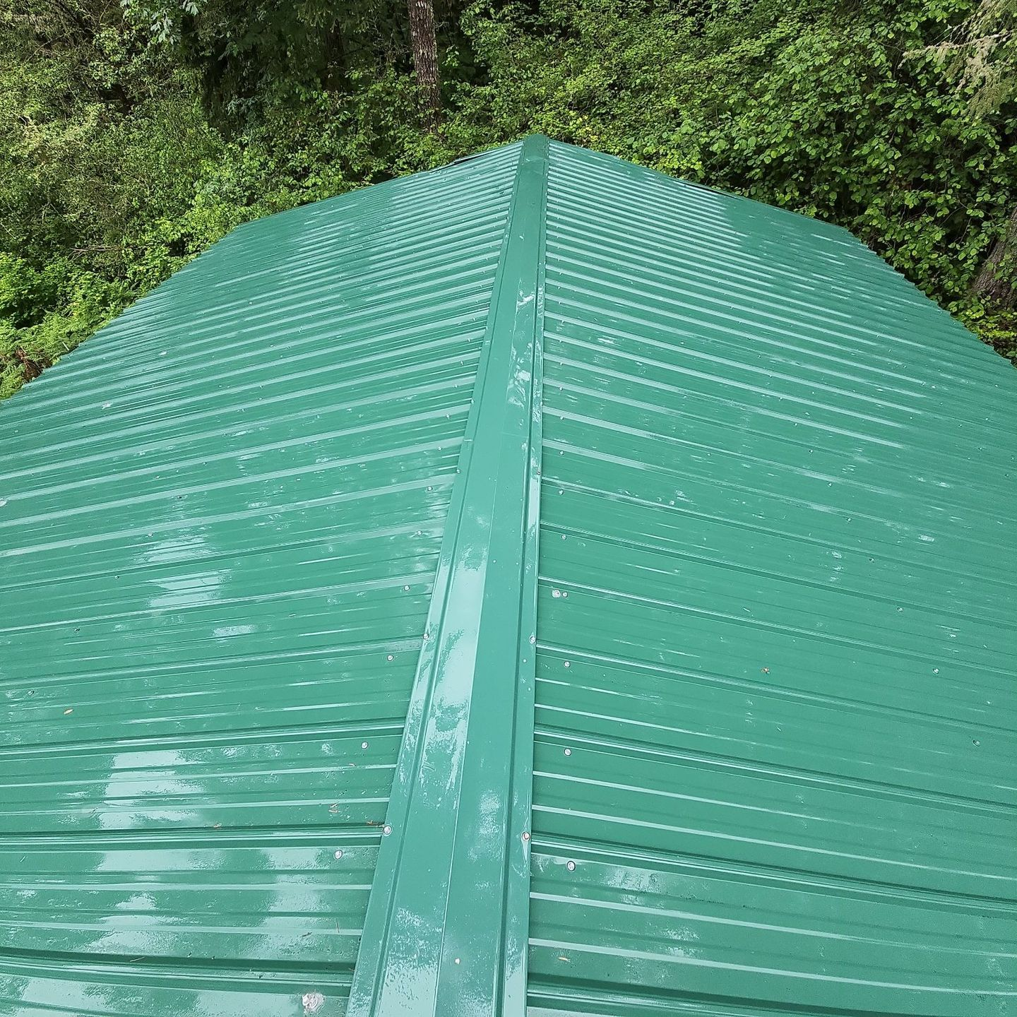 after metal roof cleaning and moss treatment