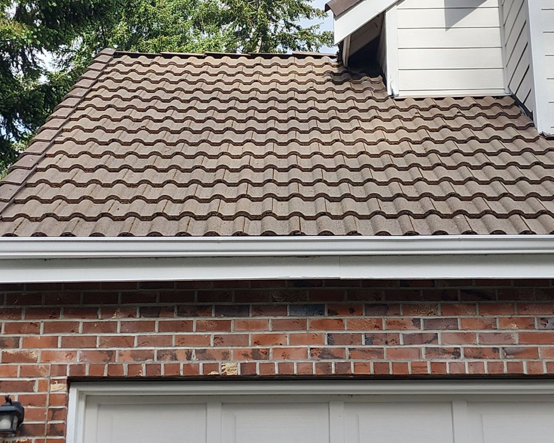 after tile roof cleaning northeast tacoma