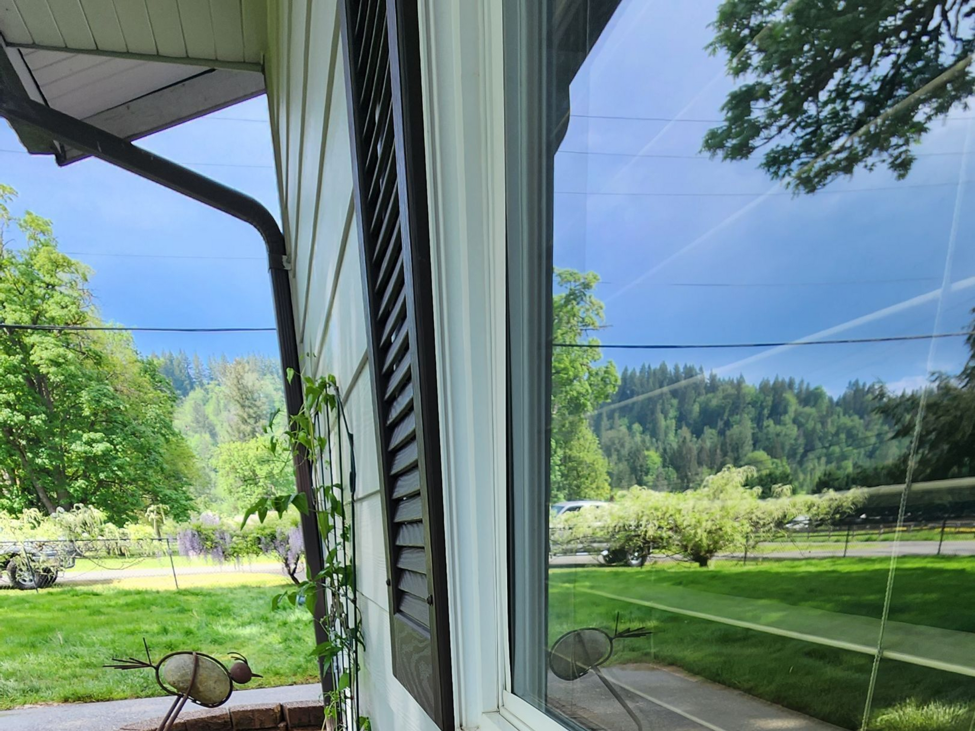 After Solar Panel Cleaning Tacoma