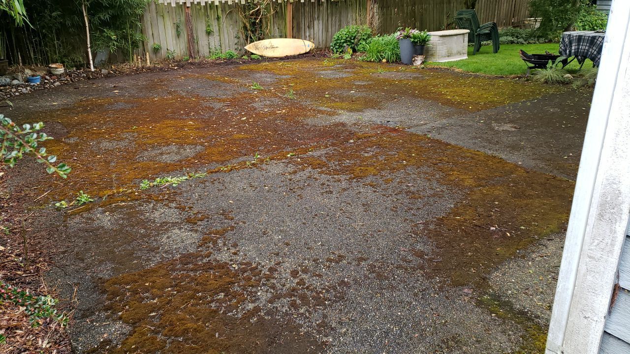 before concrete cleaning tacoma