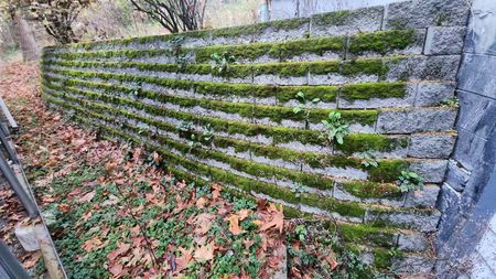Before Wall concrete pressure washing tacoma