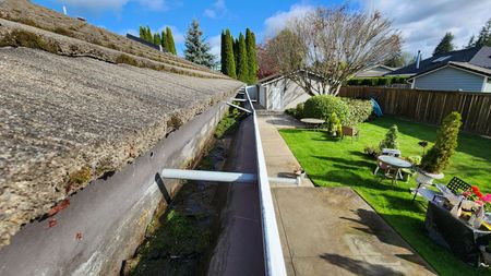 Before Gutter Cleaning Tacoma