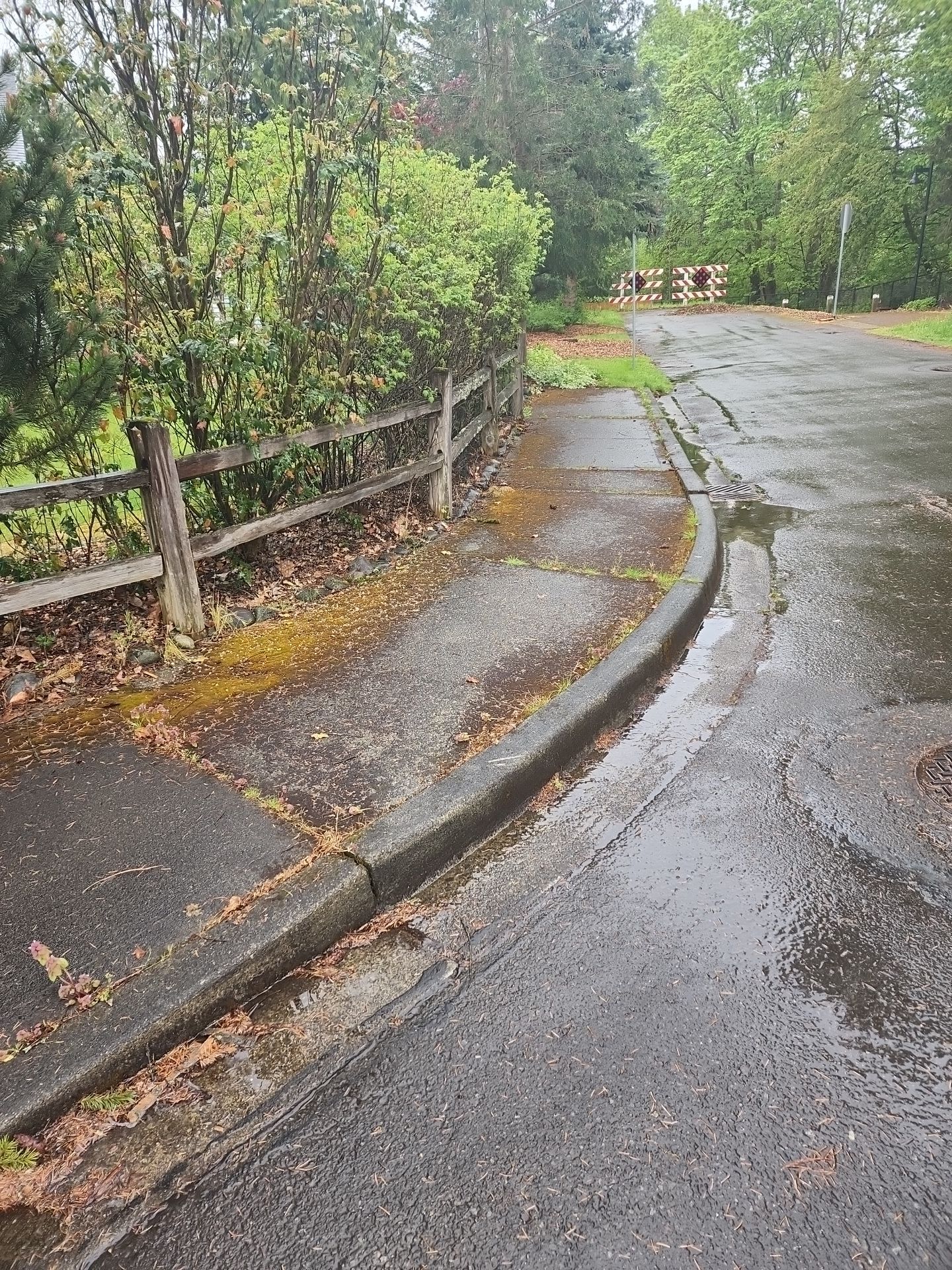 before pressure washing tacoma