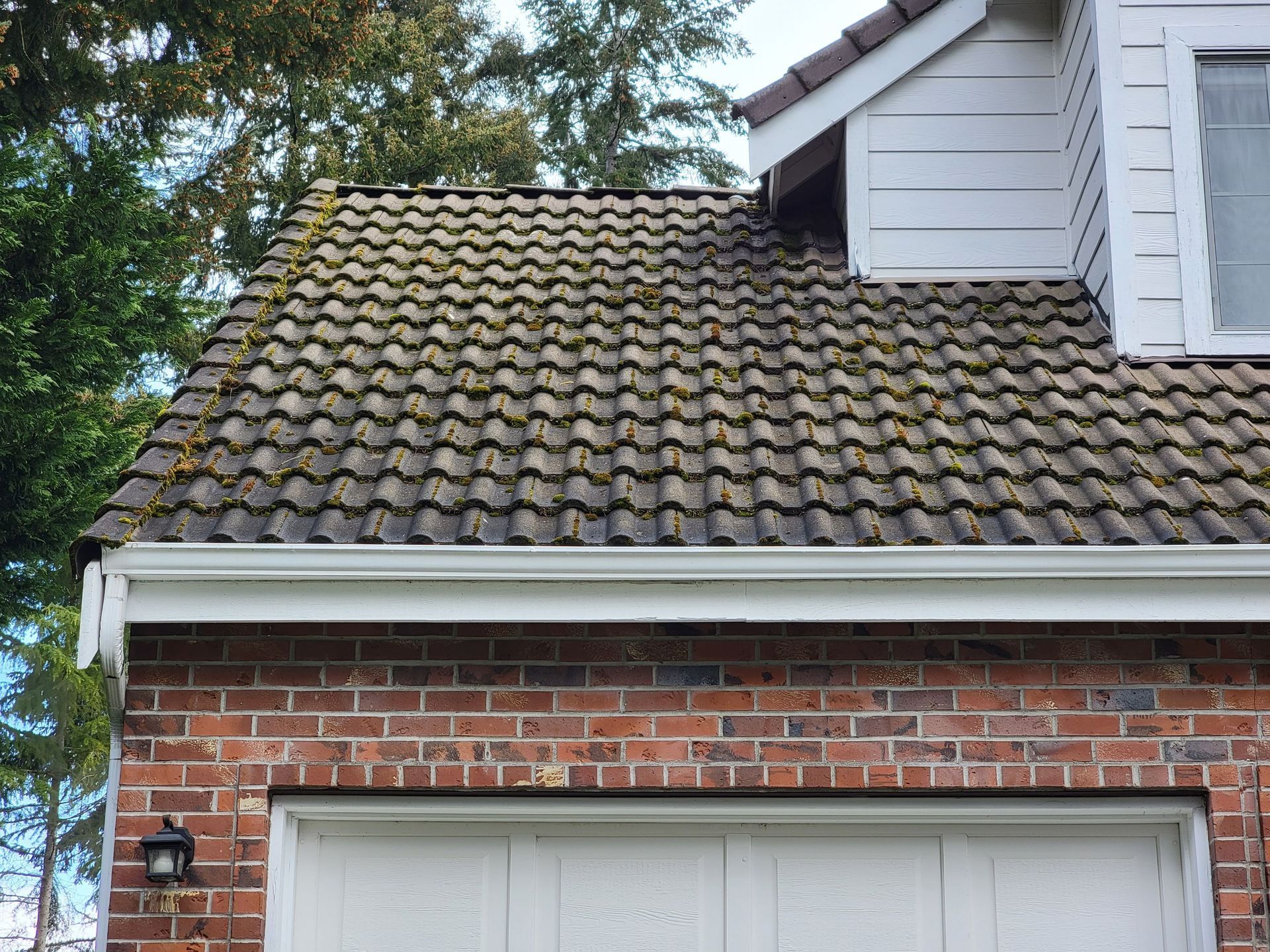 before tile roof cleaning and moss treatment
