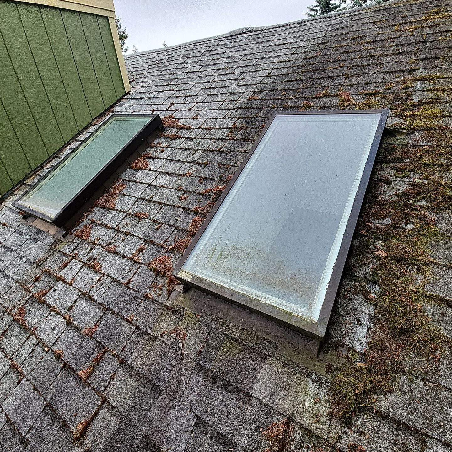 before roof cleaning normandy park wa