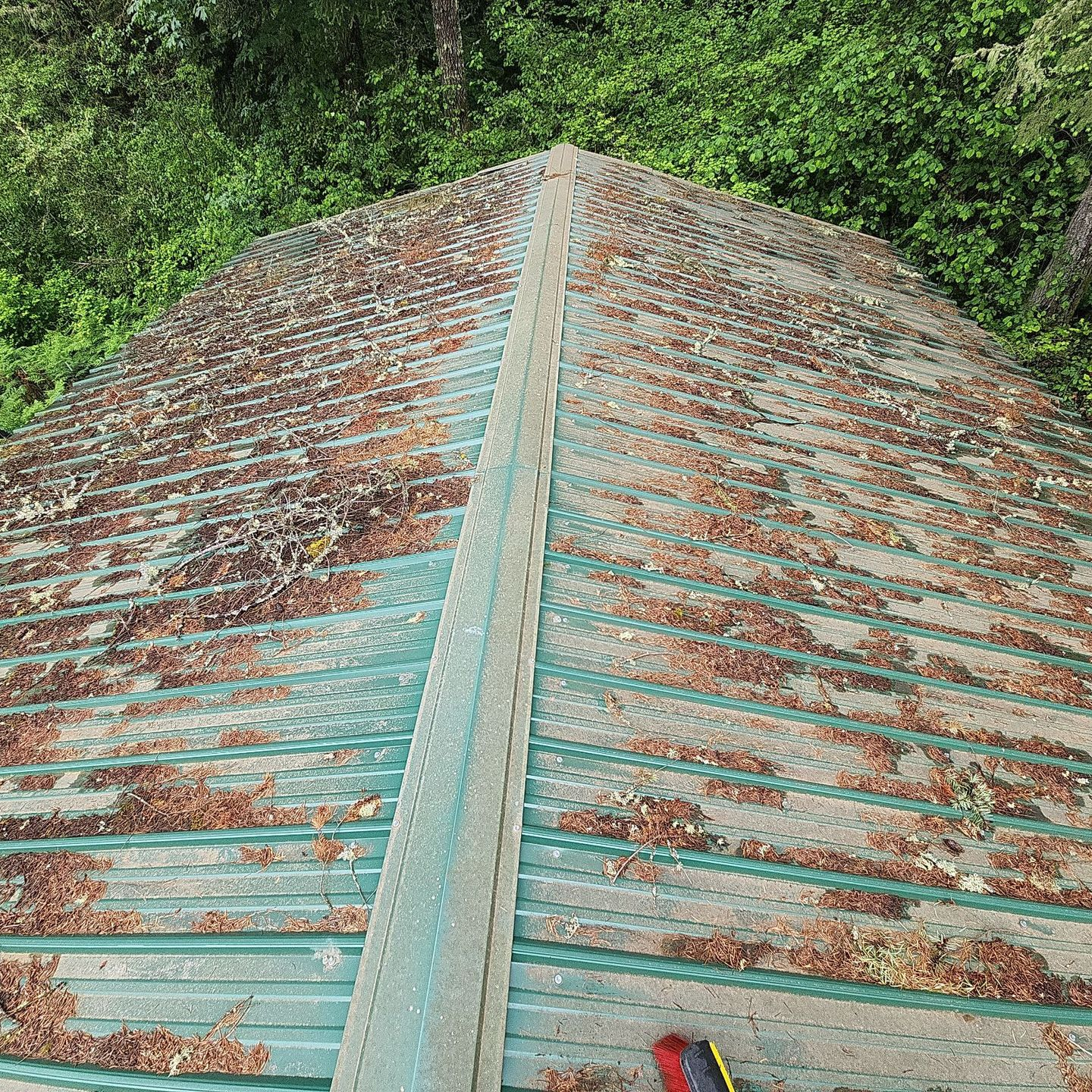 before metal roof cleaning and moss treatment