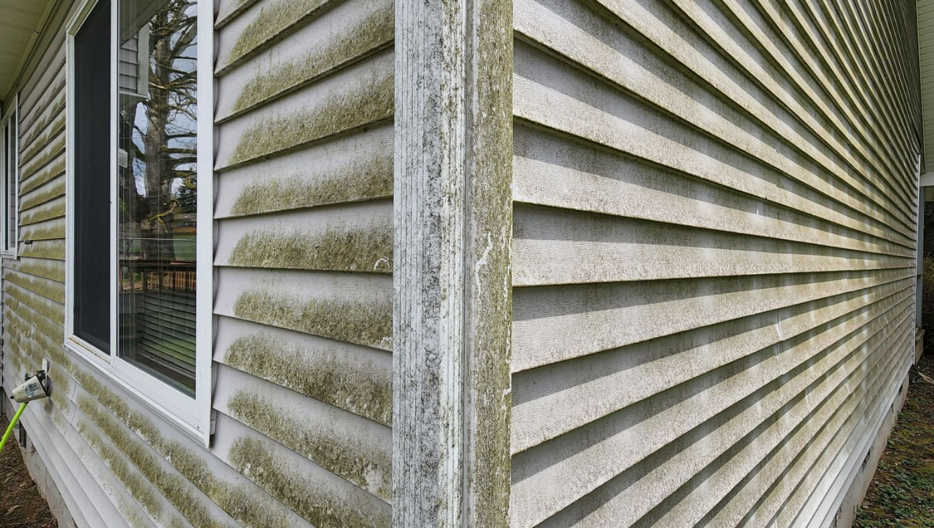 house-siding-wash-tacoma-before