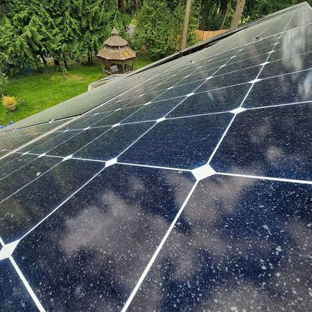 Before Solar Panel Cleaning Tacoma