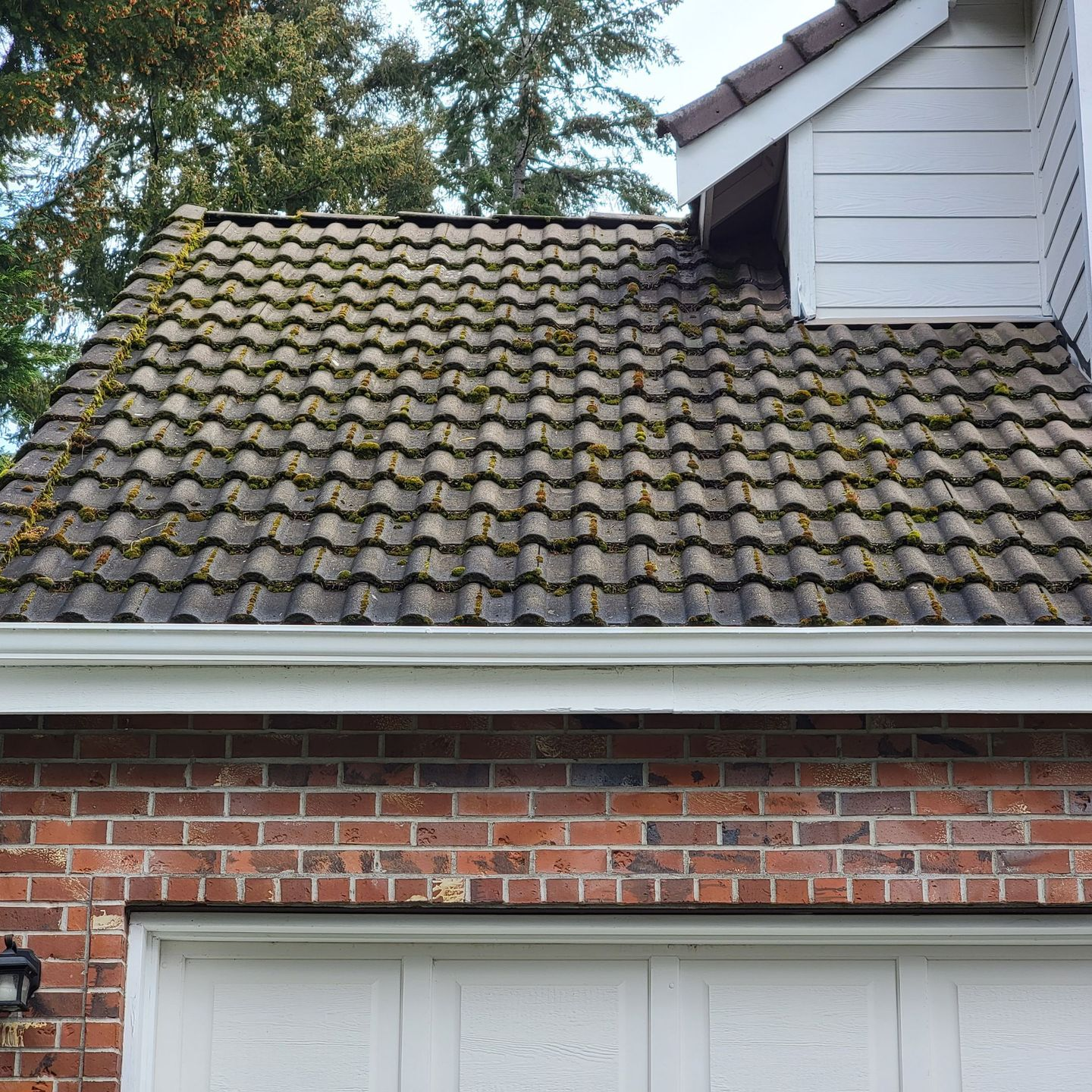 before roof cleaning seatac wa