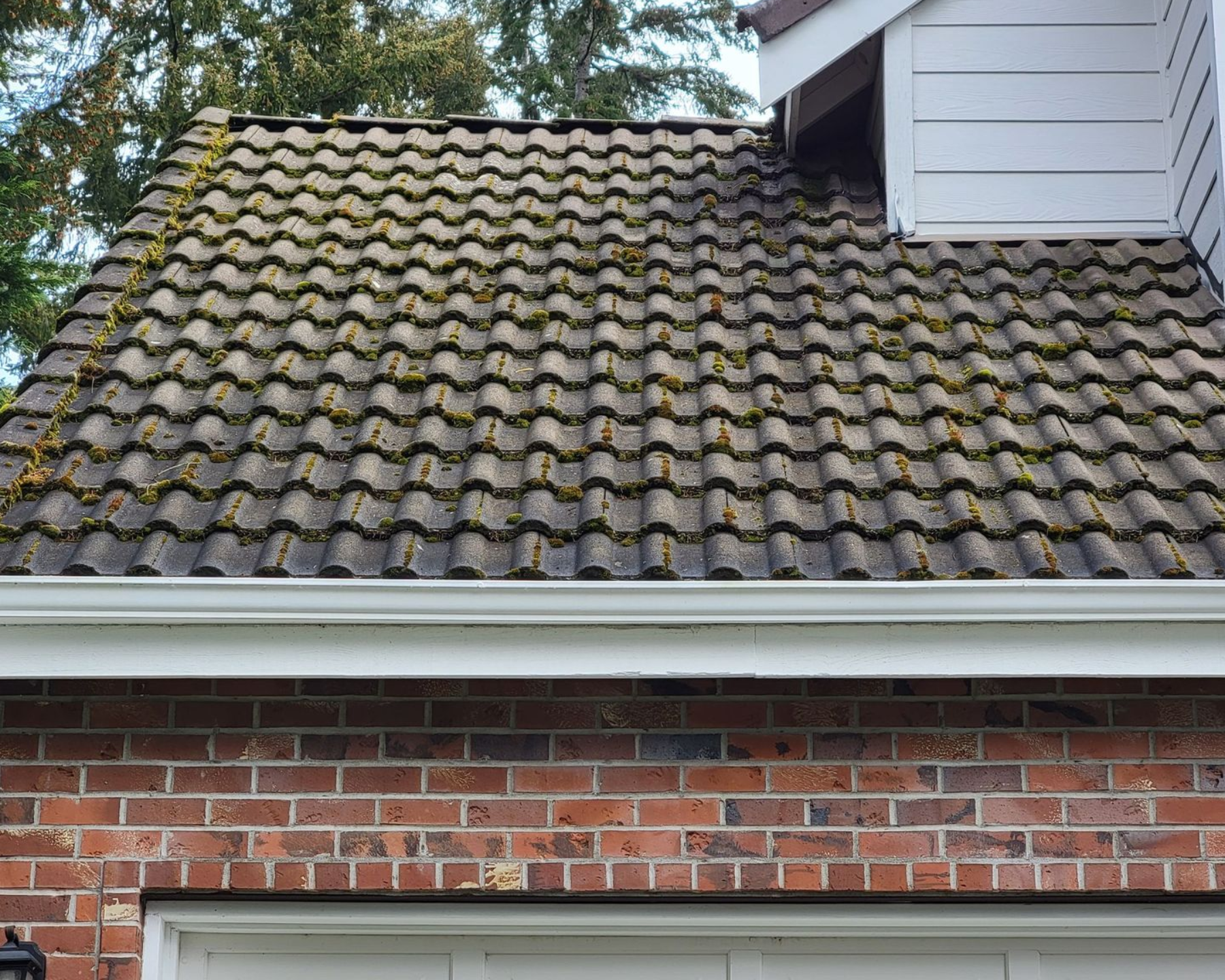 before tile roof cleaning northeast tacoma