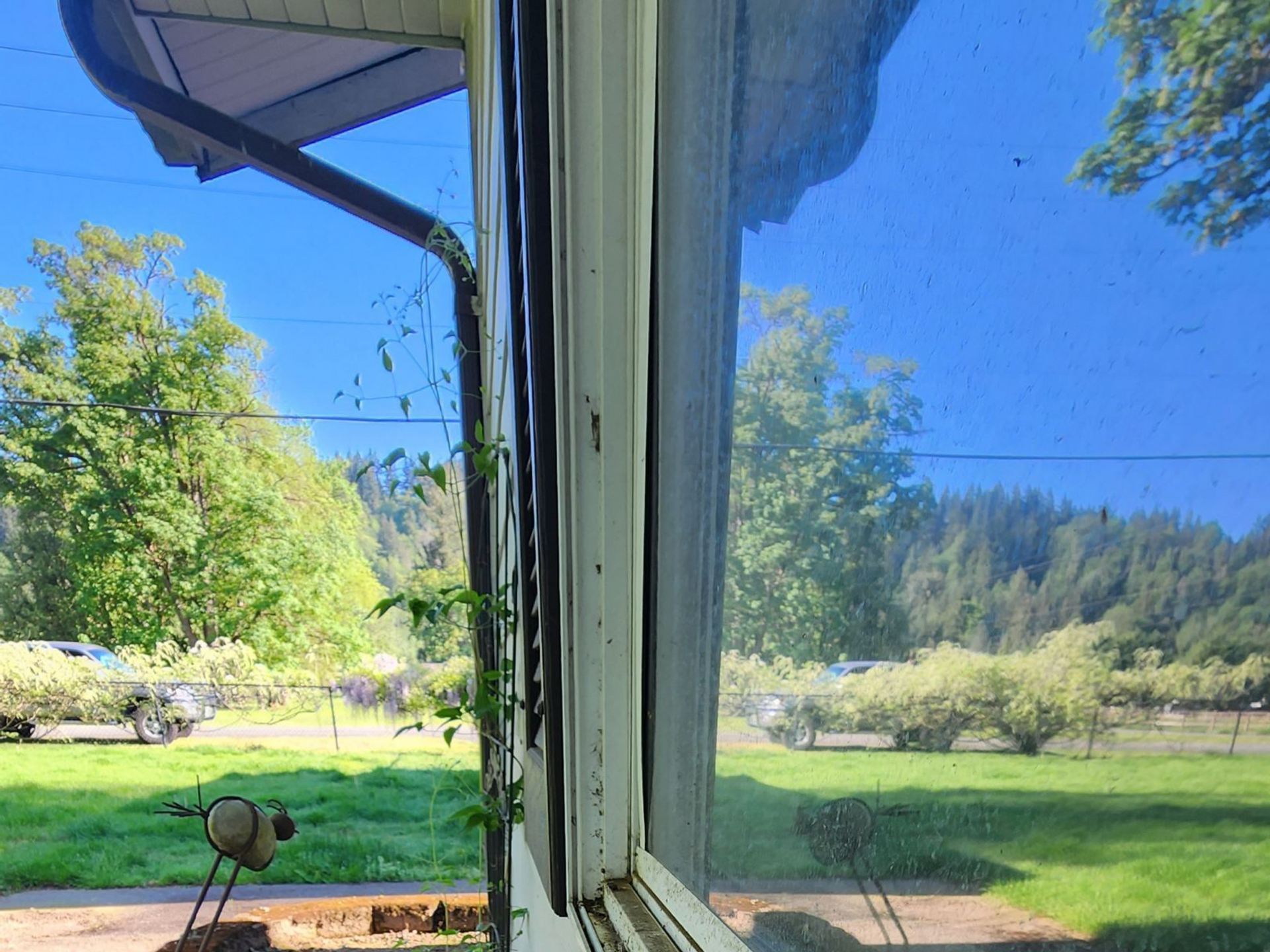 Before Solar Panel Cleaning Tacoma