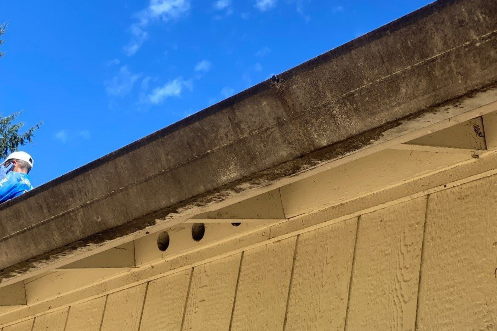 gutter-brightening-tacoma-before