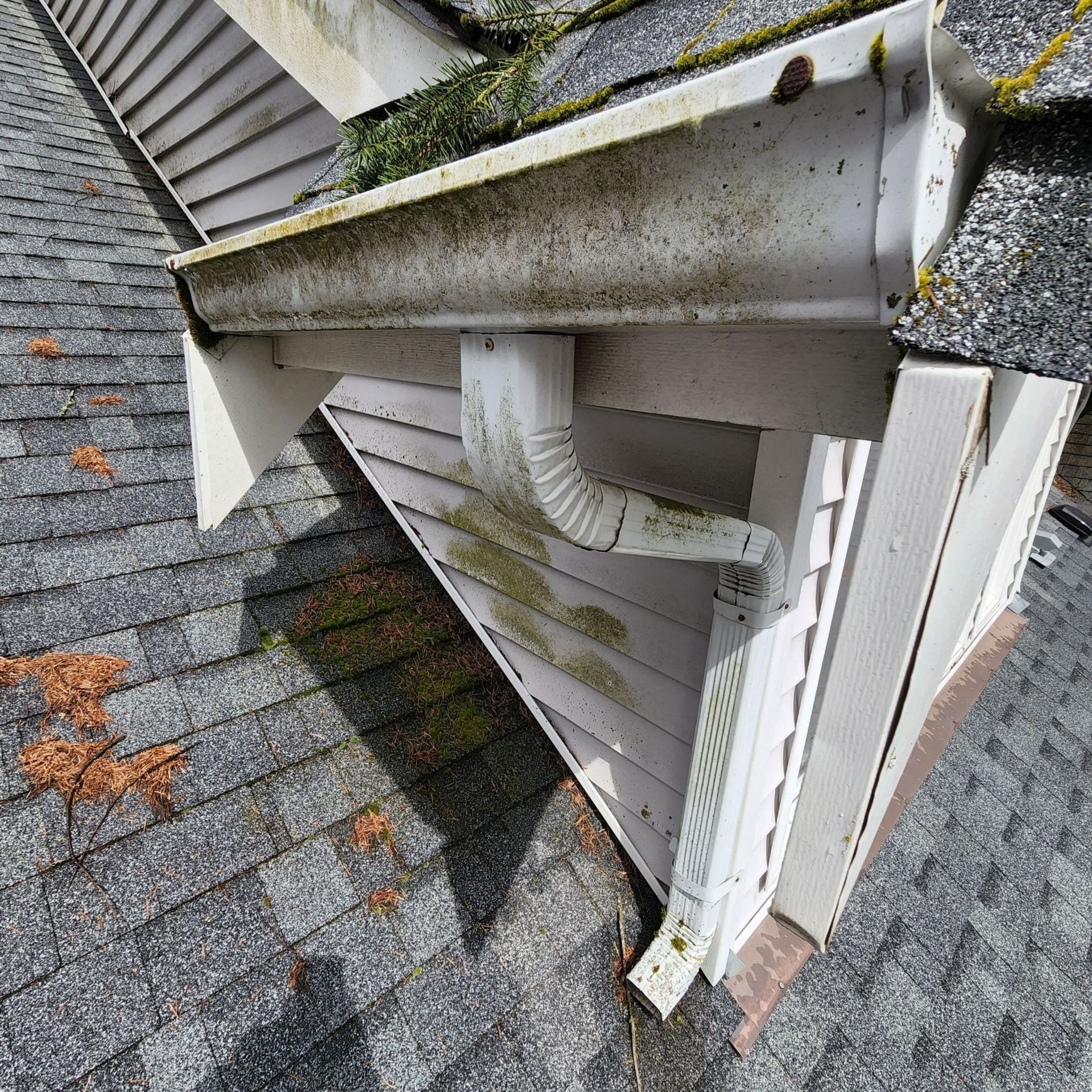 before gutter brightening tacoma