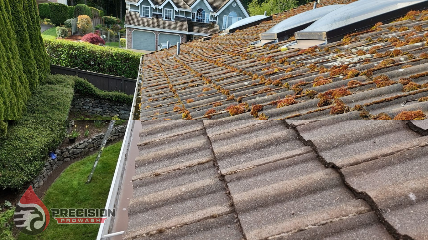 Before and after roof and moss removal tacoma