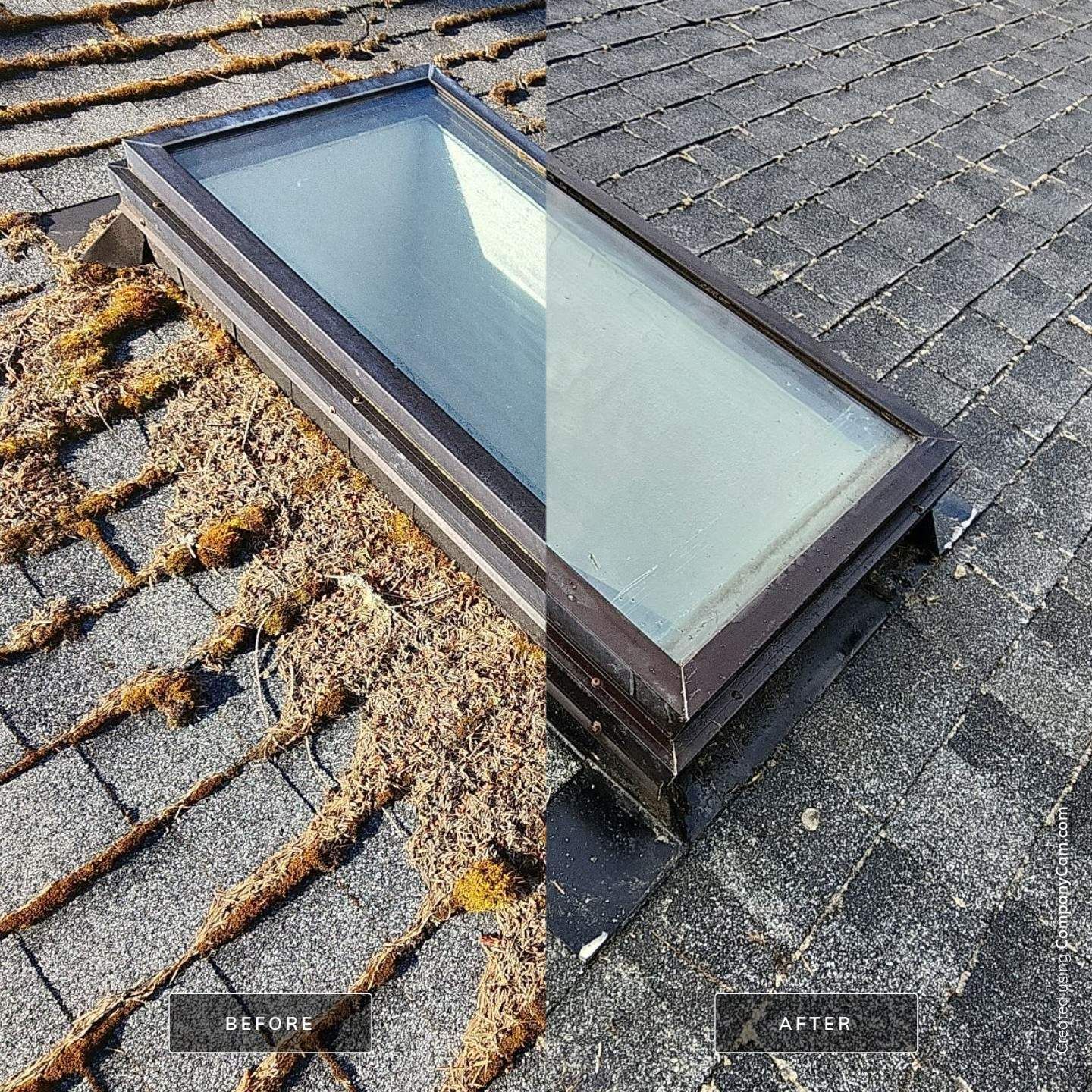 before and after roof cleaning and skylight cleaning tacoma