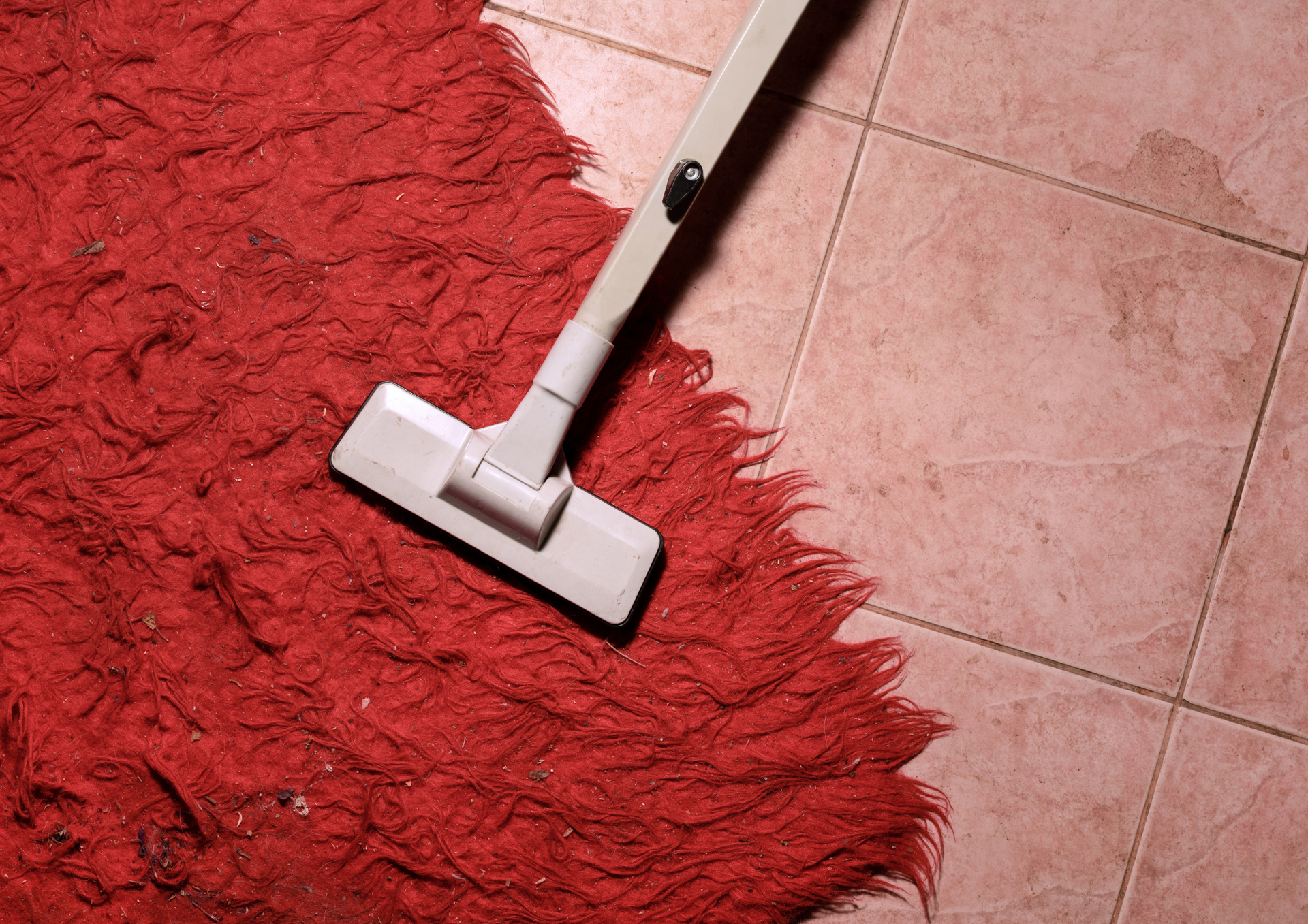 Vacuum cleaner head on a red, shaggy rug, transitioning to pink tiled floor.