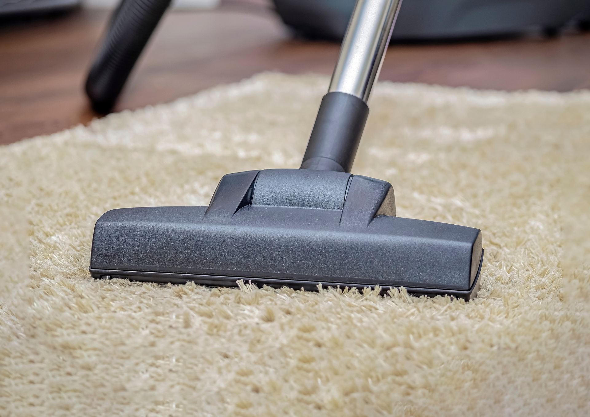 Vacuum cleaner head cleaning a beige shag carpet.