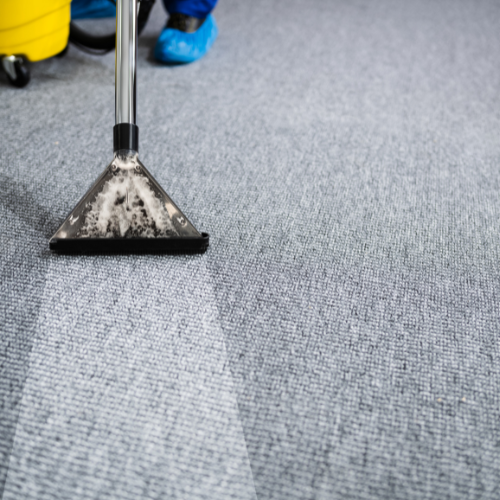 Carpet being cleaned with a vacuum. Yellow bucket and blue shoe visible.