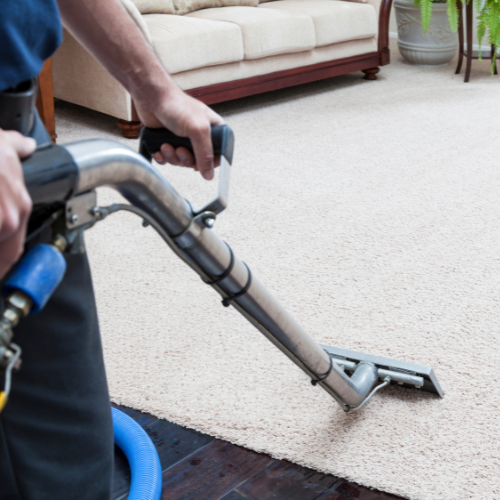 Person using a carpet cleaner on a light-colored rug in a living room, with a couch in the background.