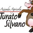 LOGO Turato Silvano