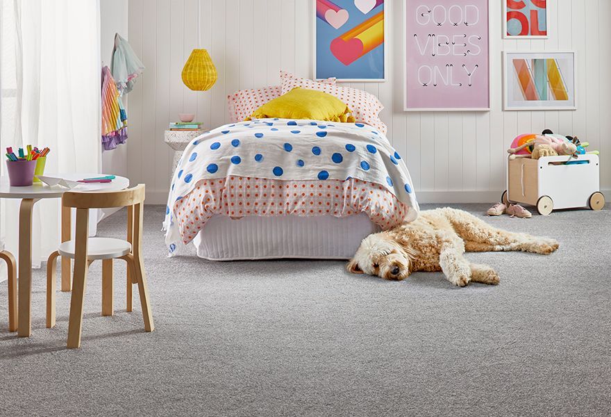 A Dog Is Laying On The Floor In A Bedroom Next To A Bed — Mid Coast Flooring & Blinds In Forster, NSW