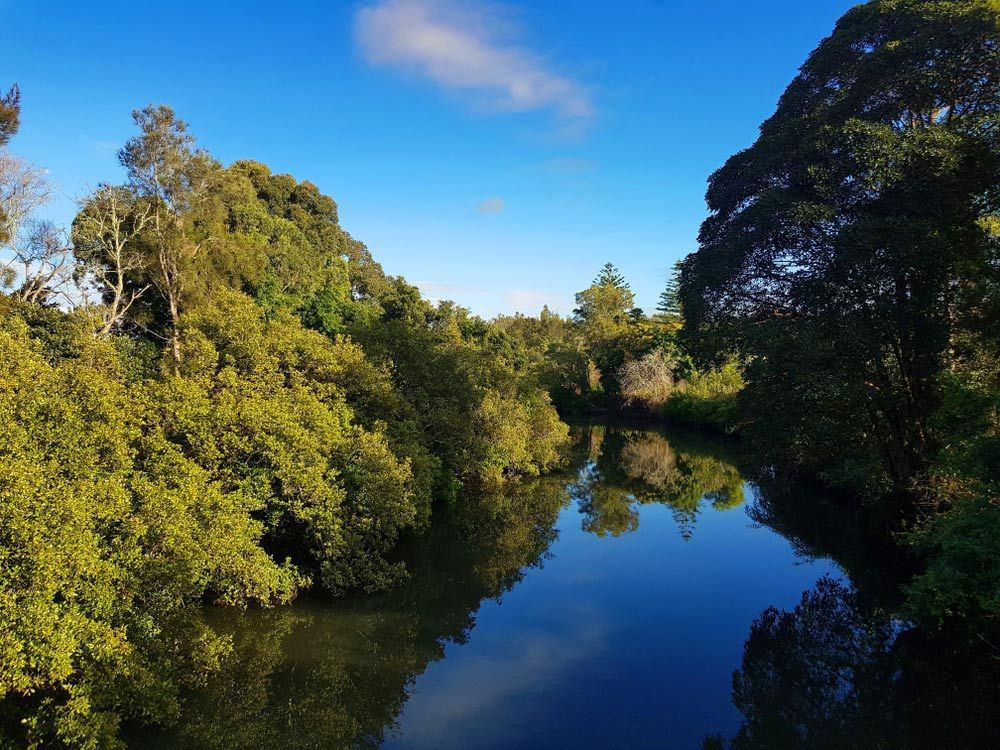 A River Surrounded By Trees On A Sunny Day — Mid Coast Flooring & Blinds In Taree, NSW
