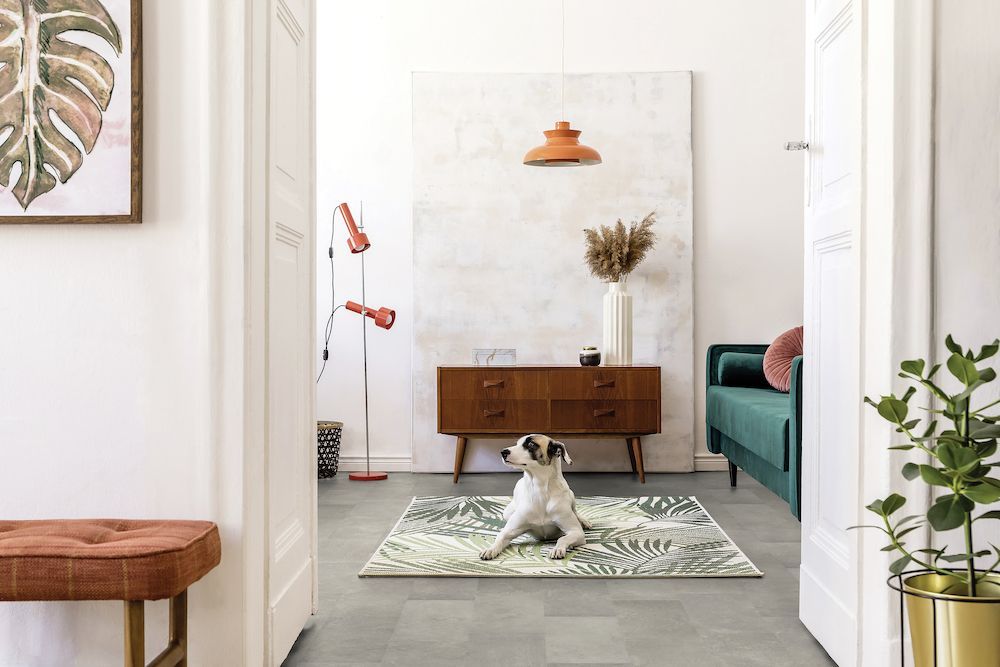 A Dog Is Sitting On A Rug In A Living Room — Mid Coast Flooring & Blinds In Taree, NSW