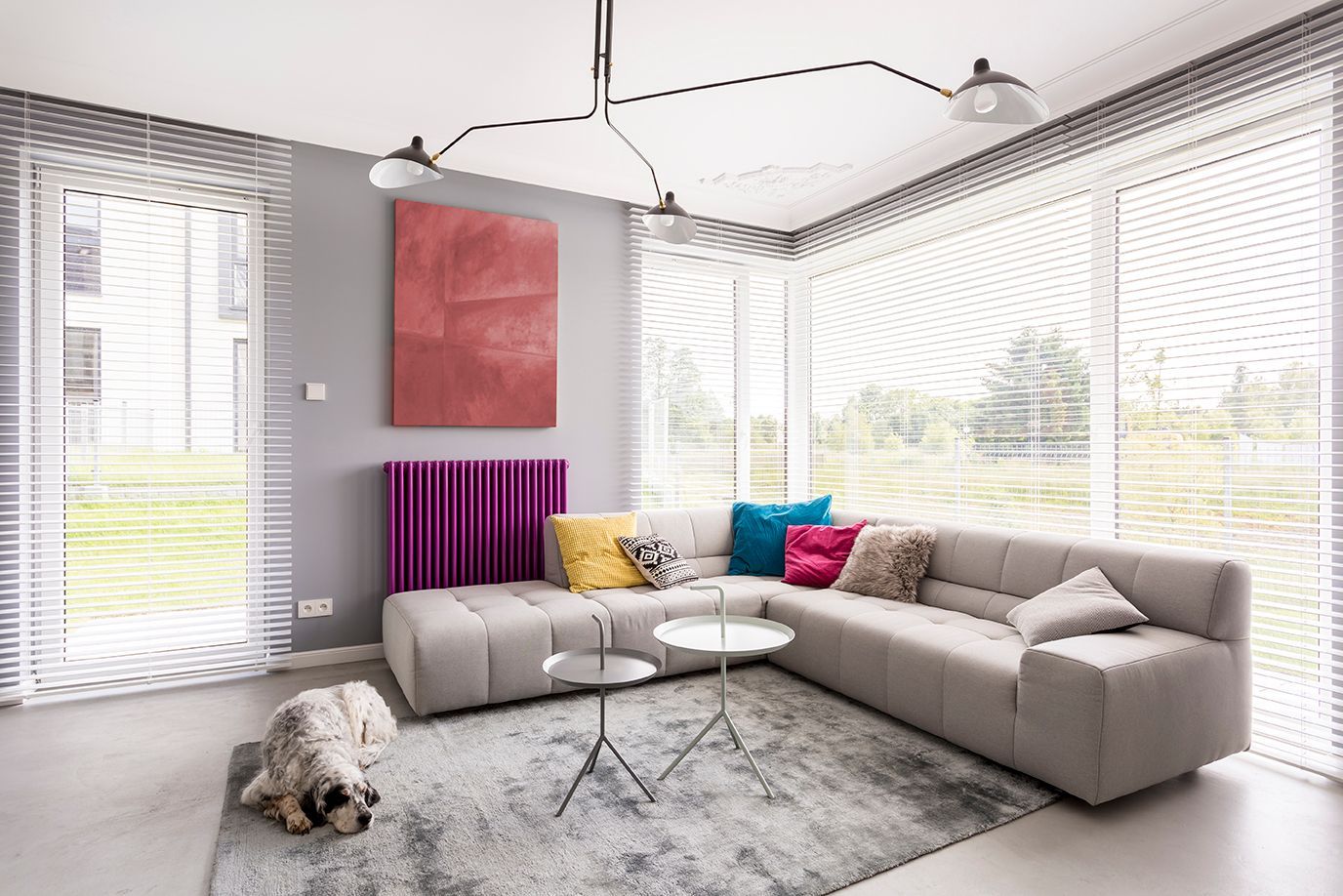 A Living Room with A Couch, Table, and Dog  — Mid Coast Flooring & Blinds In Wingham, NSW