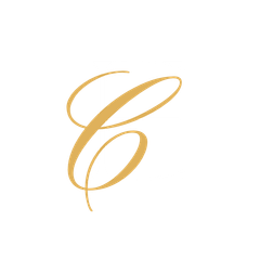 Executive Connections Dating logo - professional matchmaker Houston, Dallas, and Austin