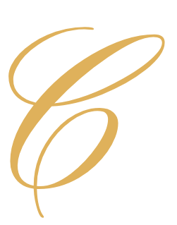 Executive Connections Dating logo - professional matchmaker Houston, Dallas, and Austin.