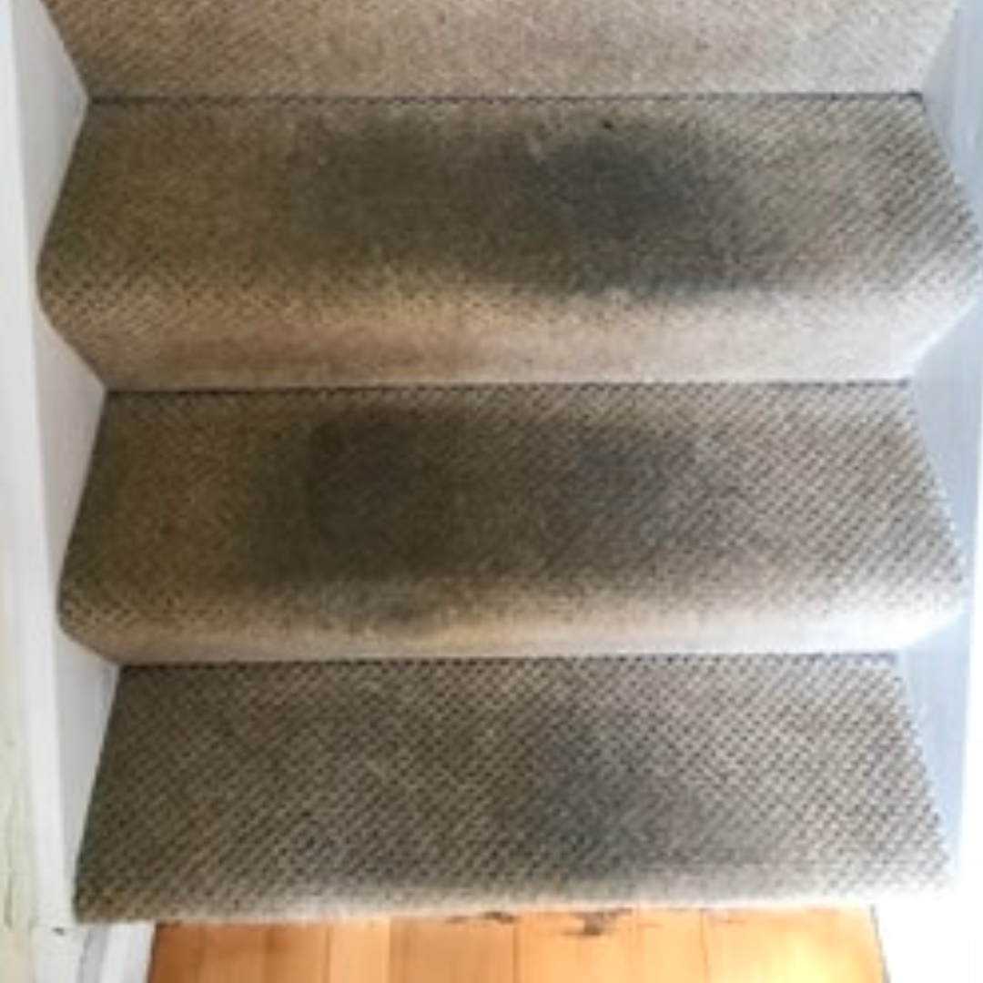carpet stairs before cleaning