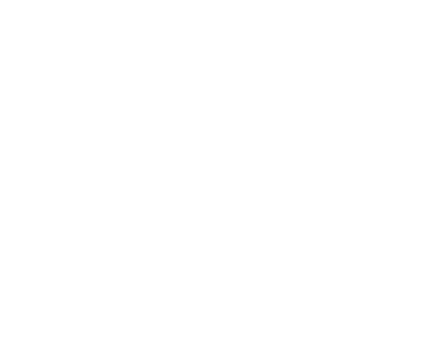 Advantage Financial Services Inc.  logo