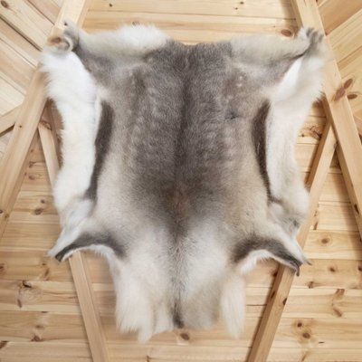 Reindeer Skin Stretched on Roof of BBQ Hut