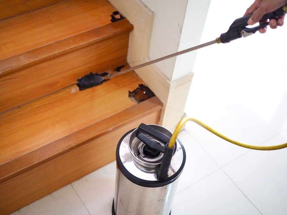 A Person Is Spraying A Wooden Staircase With A Sprayer — Maximum Pest Management In Mareeba, QLD